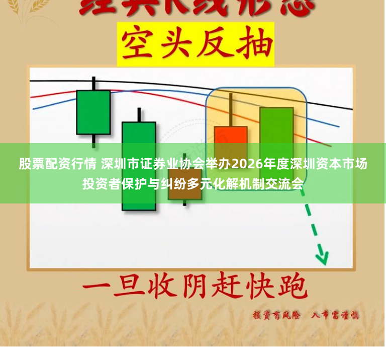 股票配资行情 深圳市证券业协会举办2026年度深圳资本市场投资者保护与纠纷多元化解机制交流会